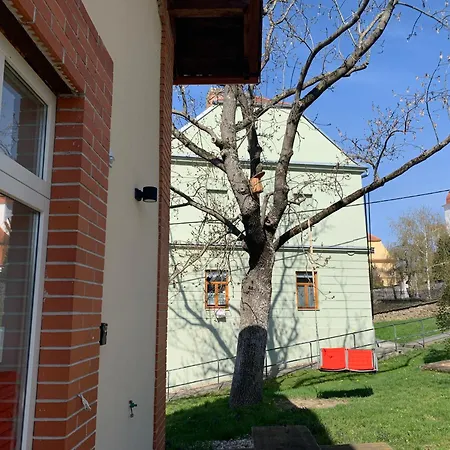 Tatil Evi Lisovna-prazdninovy Dum S Vinnym Sklepem