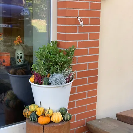Lisovna-prazdninovy Dum S Vinnym Sklepem Tatil Evi