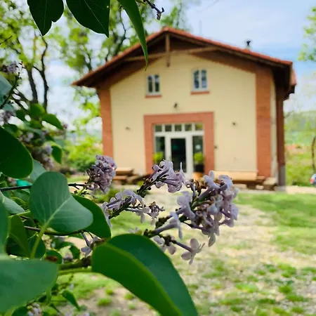 Tatil Evi Lisovna-prazdninovy Dum S Vinnym Sklepem *
