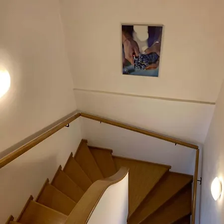 Lisovna-prazdninovy Dum S Vinnym Sklepem Tatil Evi Zerotice