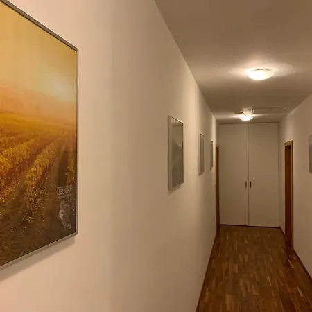 Lisovna-prazdninovy Dum S Vinnym Sklepem * Zerotice