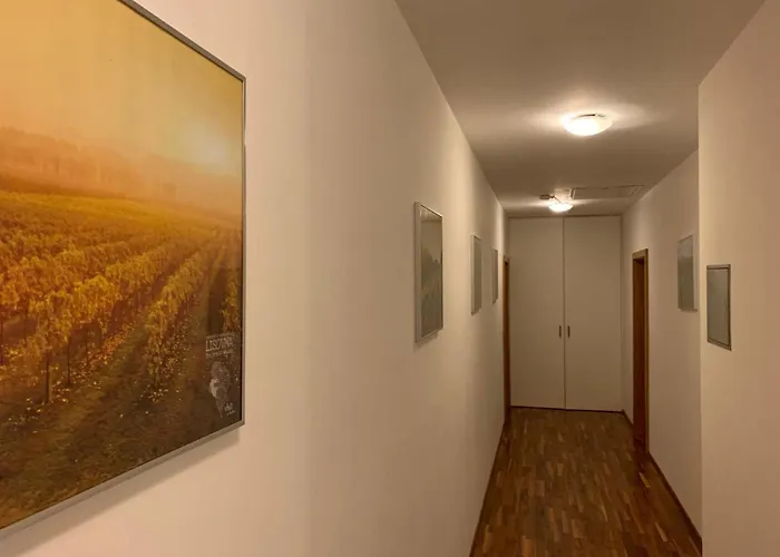Lisovna-prazdninovy Dum S Vinnym Sklepem * Zerotice
